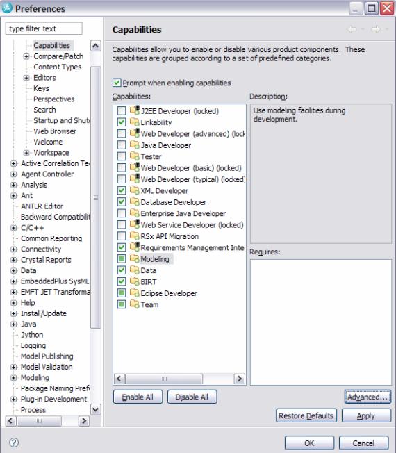 ͼ 28.  Preferences ͼе Java ģ