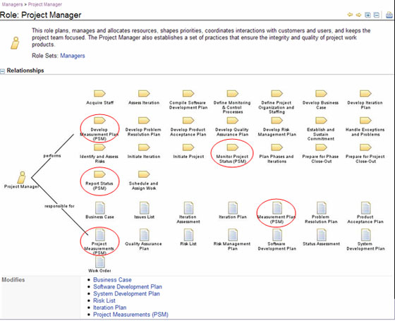  Project Manager ɫչʾ RUP for PSM ĸְ