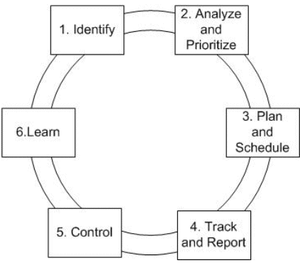 Figure 1: MSF Risk Management Process