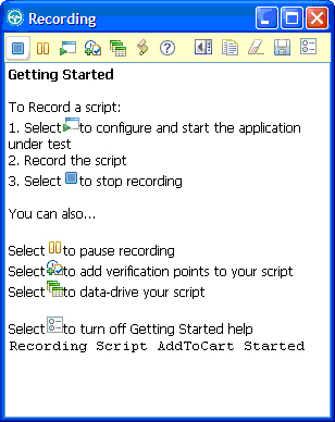 Figure 2. Recording window