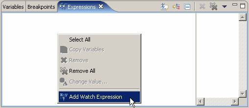 Add Watch Expression