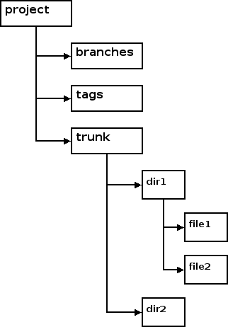 Picture of the Directory Structure