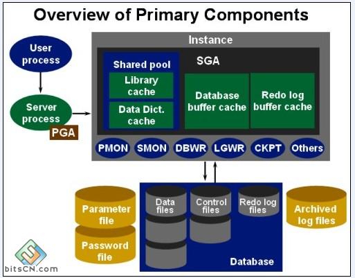 Oracle体系结构 内存结构和进程结构 体系架构