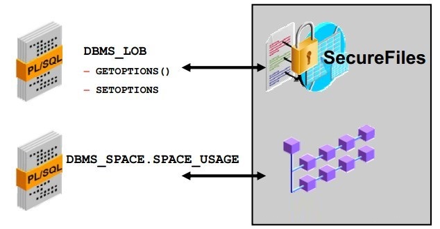 Oracle DB 加强的数据安全管理-数据库-火龙果