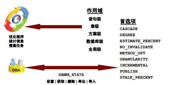 Oracle DB 数据库维护-数据库-火龙果软件工程