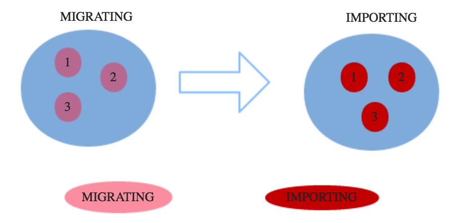 Redis Cluster分区实现原理