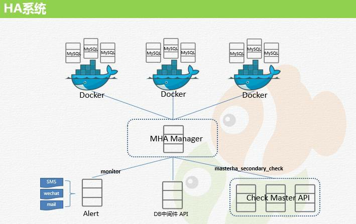 MySQL 到底能不能放到 Docker 里跑?-数据库