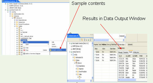 Database Explorer 中的数据示例