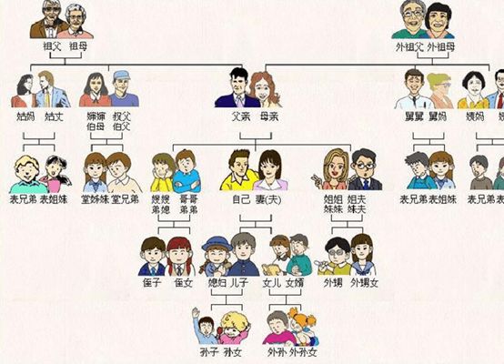 上小学时候的家庭成员关系图,是我们最熟悉不过的思维导图了.